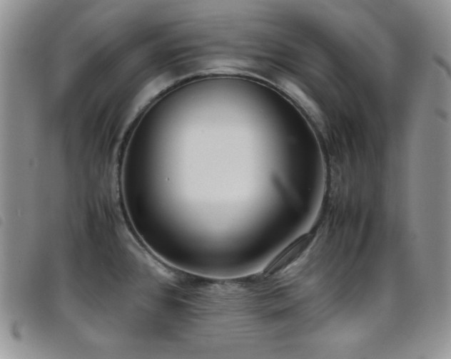 X0000099231384200804241444
