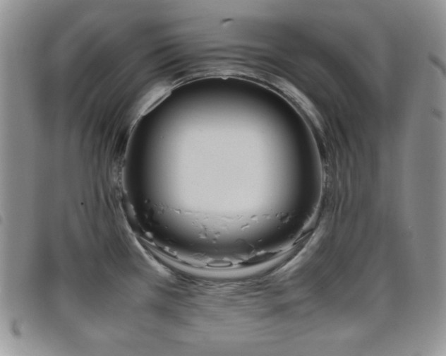 X0000099231385200804241444