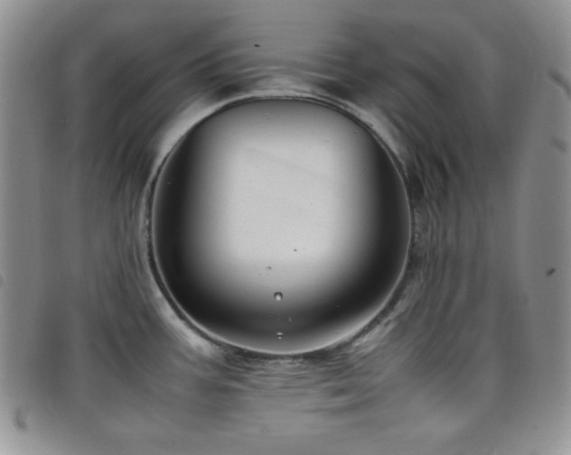 X0000099231387200804241444