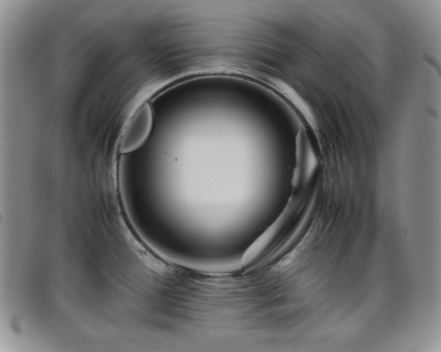 X0000099231388200804241444