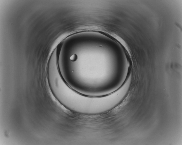 X0000099231389200804241444