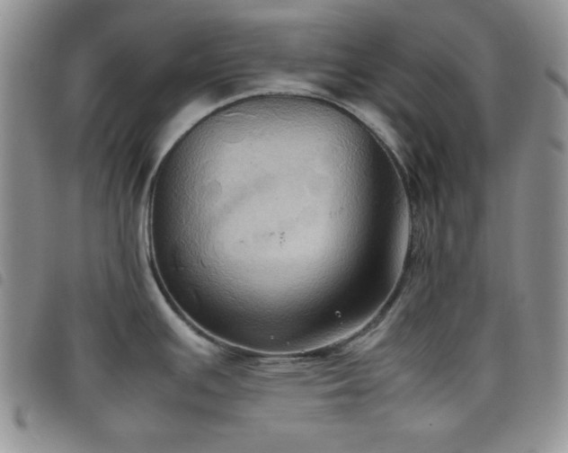 X0000099231391200804241444