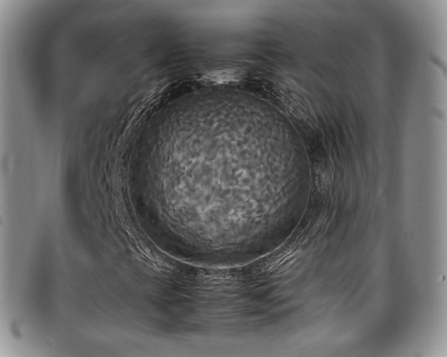 X0000099231393200804241443