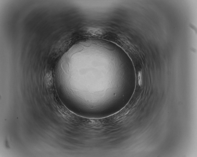 X0000099231395200804241443