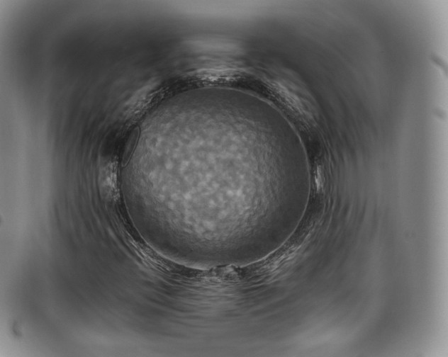 X0000099231396200804241443