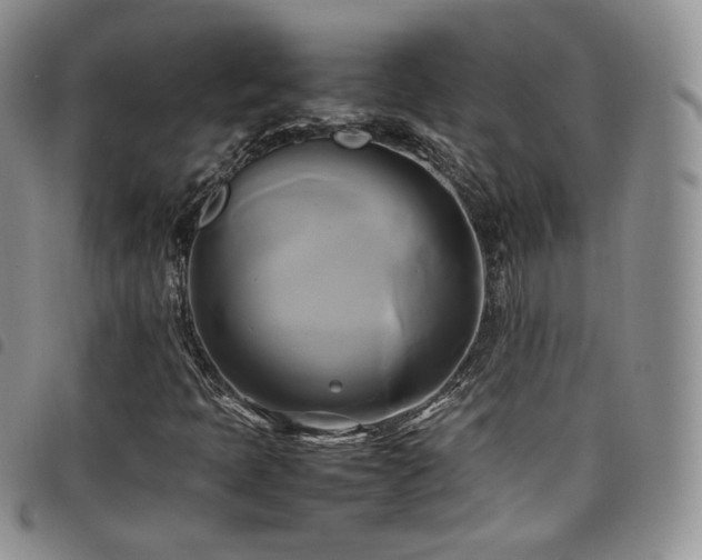 X0000099231397200804241443