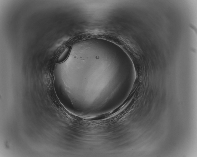 X0000099231398200804241443