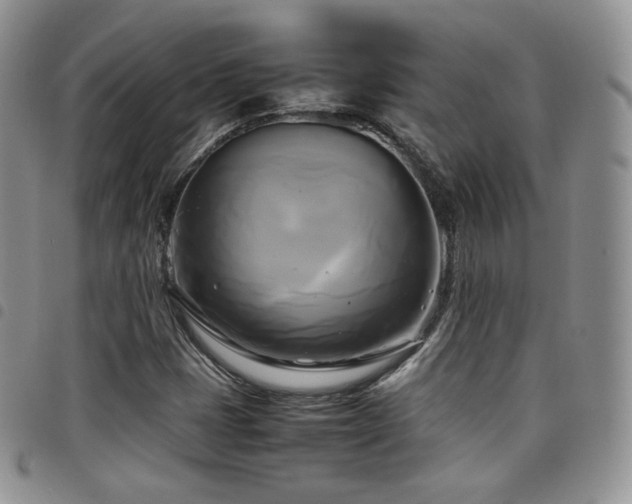 X0000099231401200804241443