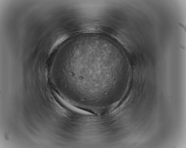 X0000099231402200804241443