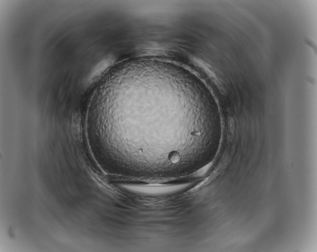 X0000099231403200804241443