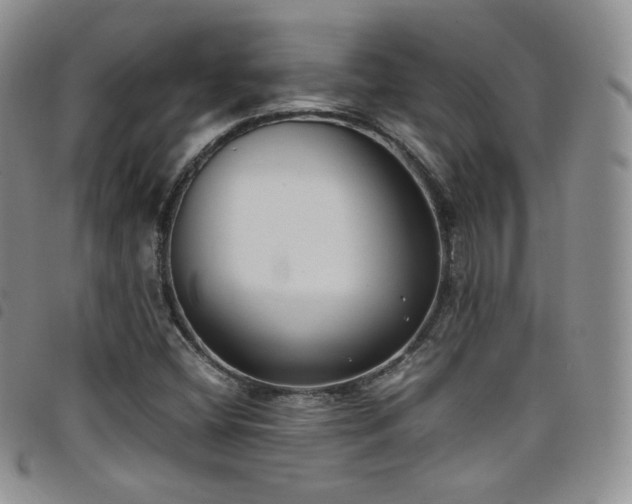 X0000099231404200804241443