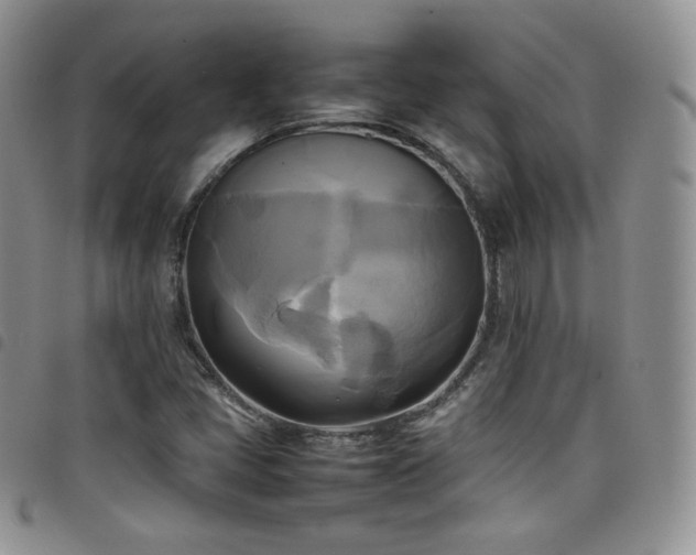 X0000099231405200804241443