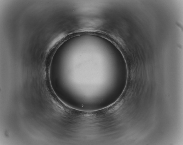 X0000099231406200804241443