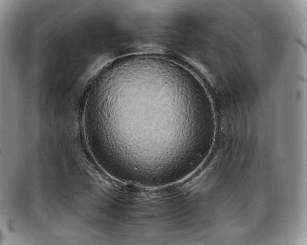 X0000099231407200804241443