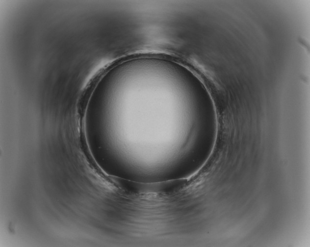 X0000099231408200804241443