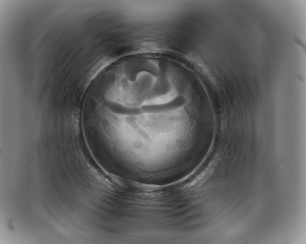 X0000099231409200804241444