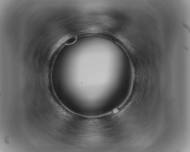 X0000099231410200804241444