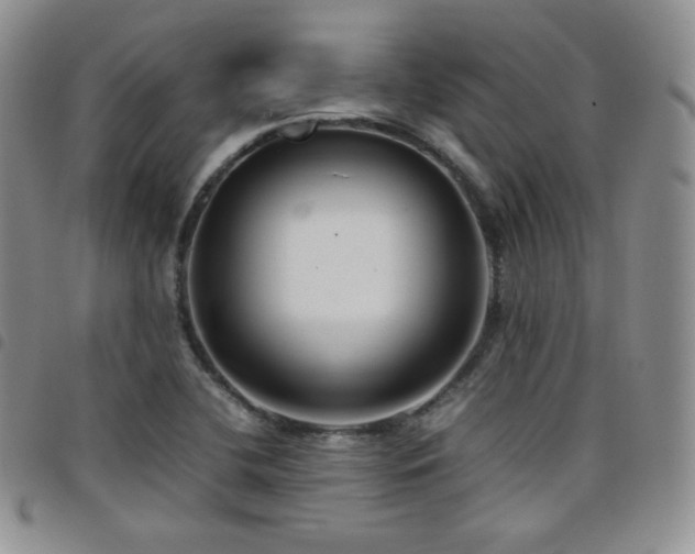 X0000099231412200804241444