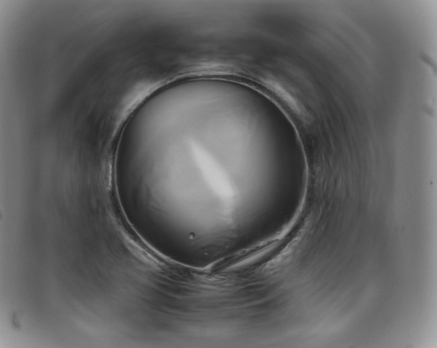 X0000099231413200804241444