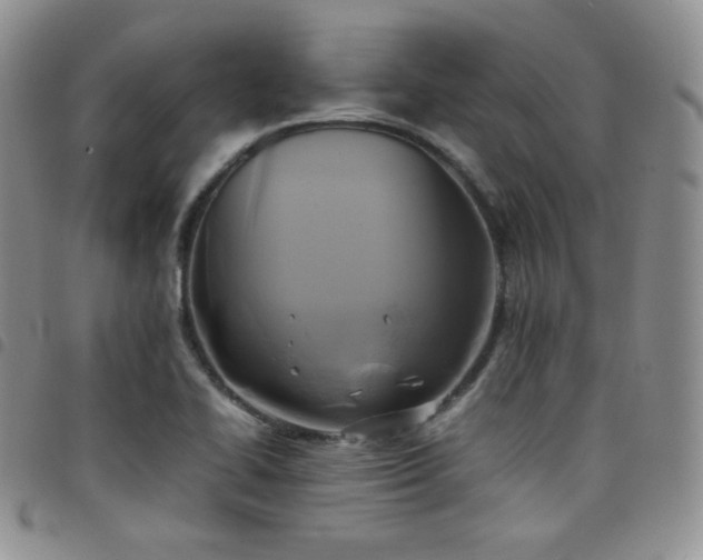 X0000099231414200804241444