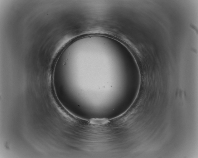 X0000099231416200804241444