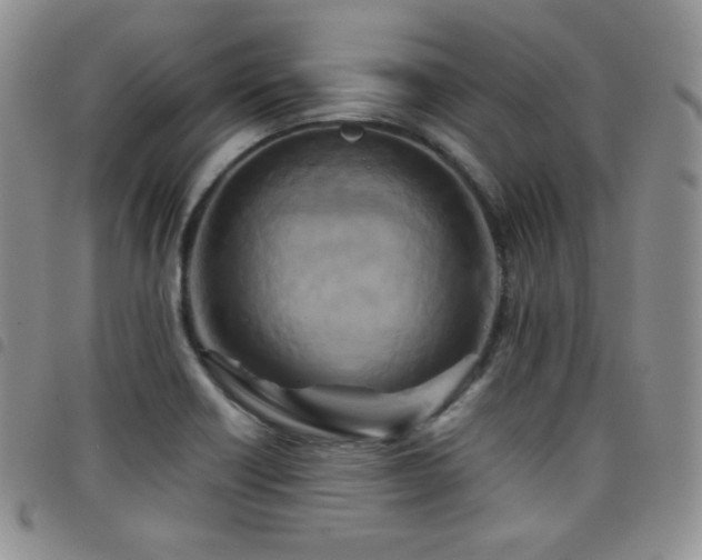 X0000099231418200804241444
