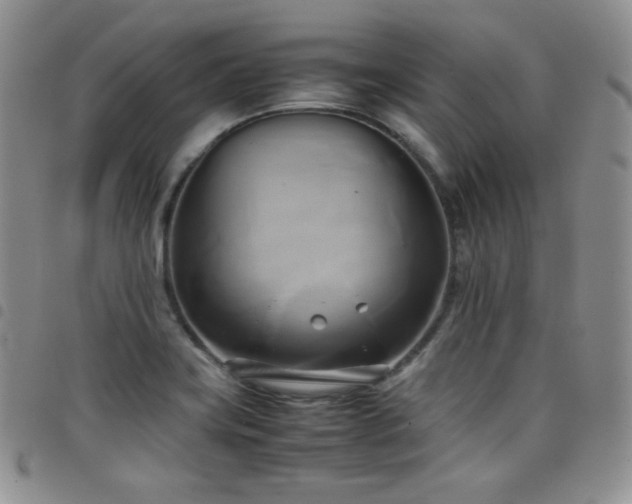 X0000099231419200804241444