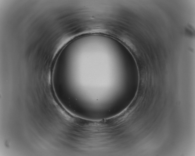 X0000099231420200804241444