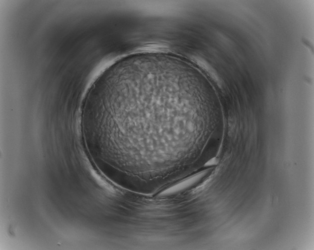 X0000099231421200804241444