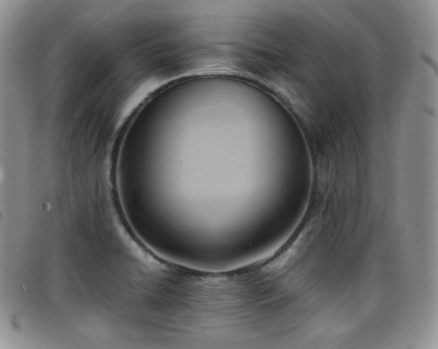 X0000099231422200804241444