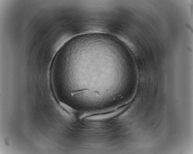 X0000099231423200804241444