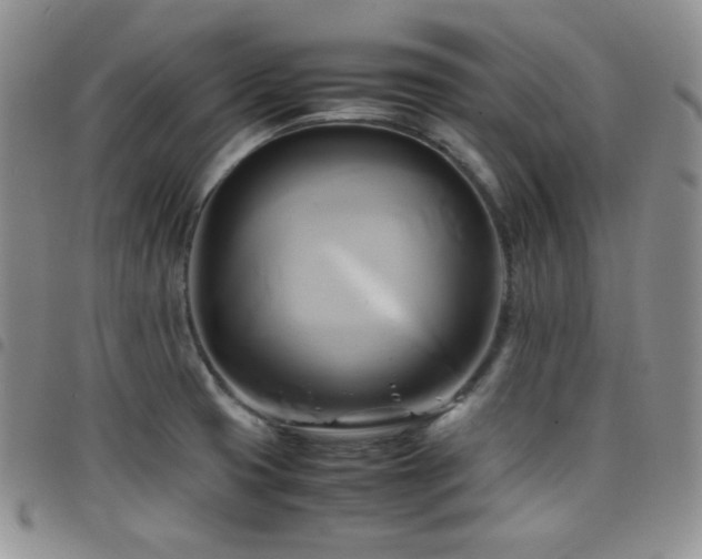 X0000099231425200804241444