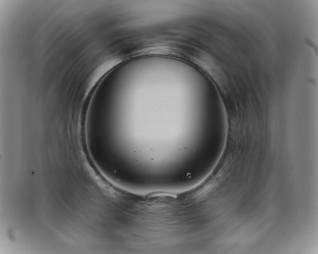 X0000099231426200804241444
