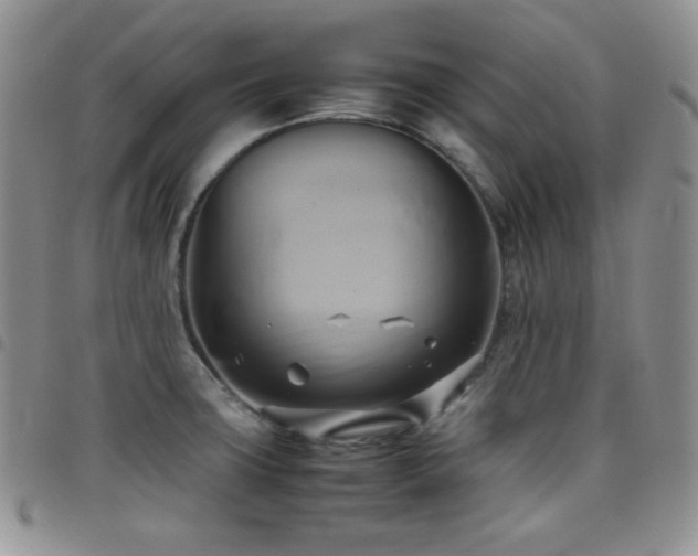 X0000099231427200804241444