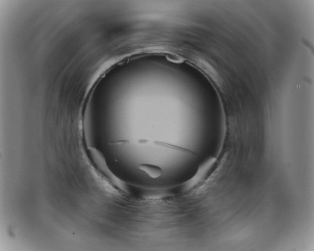 X0000099231428200804241444