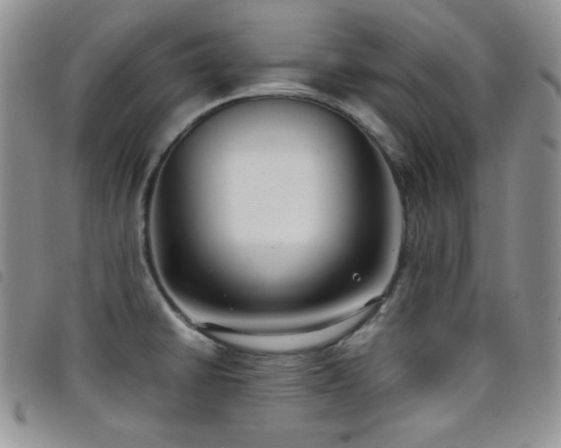 X0000099231430200804241444