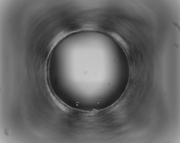 X0000099231431200804241444