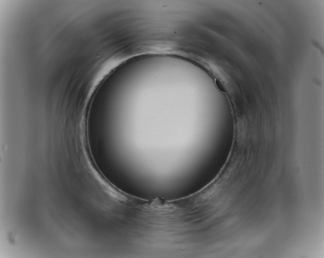 X0000099231432200804241444