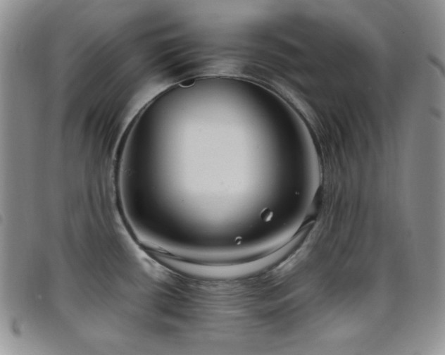 X0000099231434200804241444