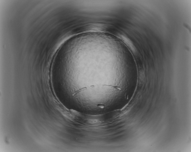 X0000099231435200804241444