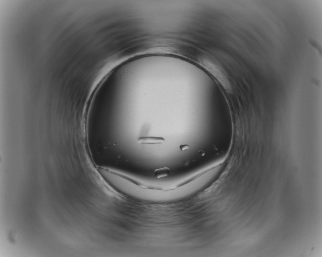 X0000099231436200804241444
