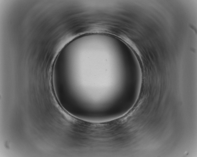 X0000099231437200804241444