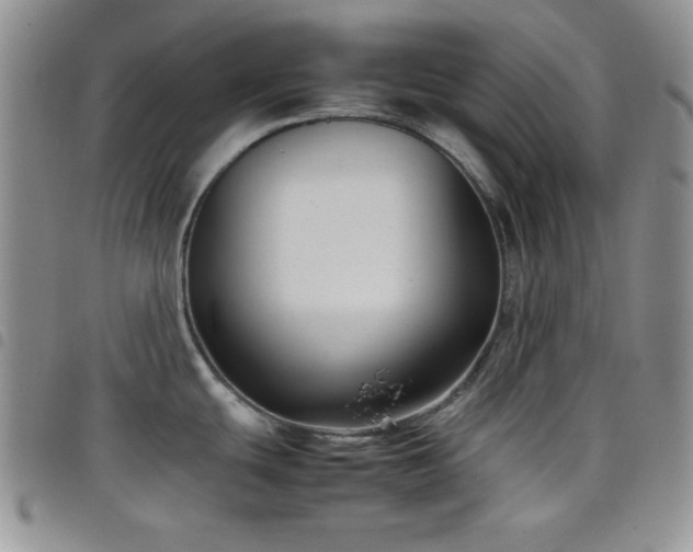 X0000099231439200804241444