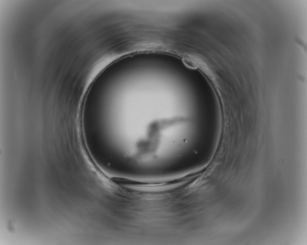 X0000099231440200804241444