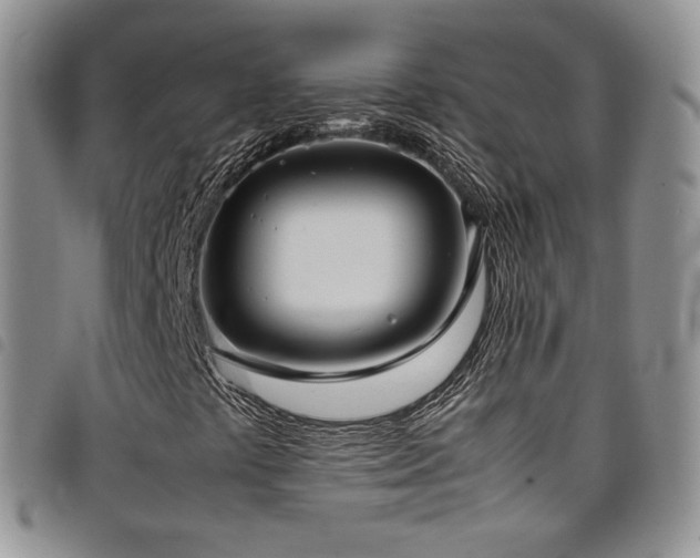 X0000099231441200804241443