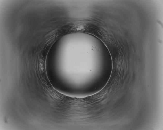 X0000099231442200804241443