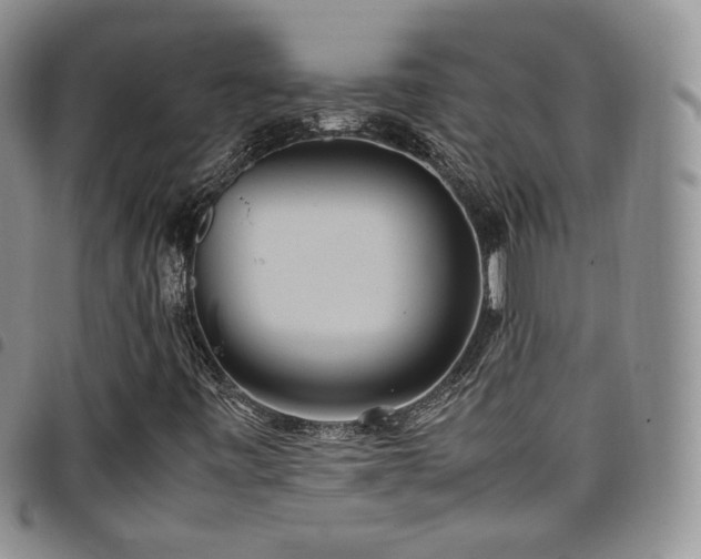 X0000099231443200804241443