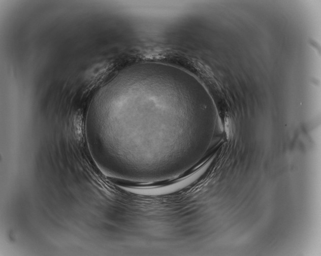 X0000099231444200804241443