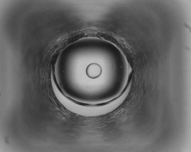 X0000099231445200804241443