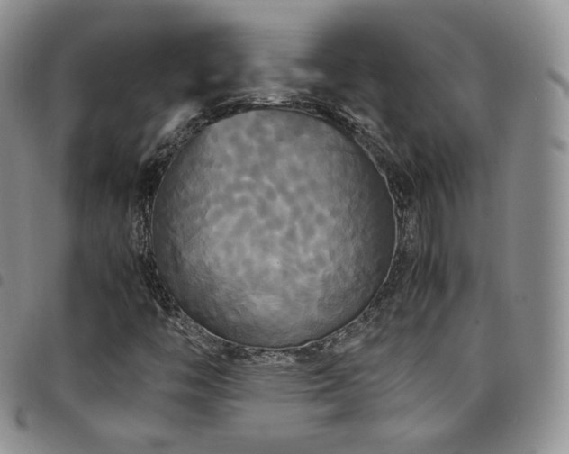 X0000099231446200804241443